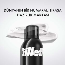 Gillette Köpük 200 Ml - 12