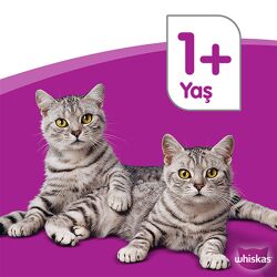 Whiskas Etli Çeşitleri 4'Lü 340 Gr - 8