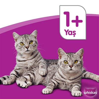 Whiskas Etli Çeşitleri 4'Lü 340 Gr - 7
