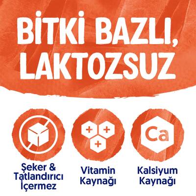 Alpro Badem Sütü Şekersiz 4X1 Lt Mega Avantajlı Paket - 6