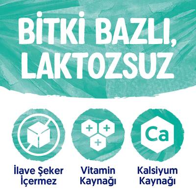 Alpro Hindistan Cevizi Sütü 1 L - 14