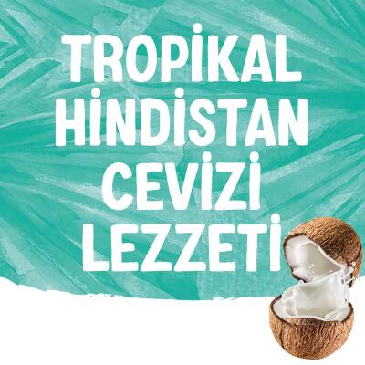 Alpro Hindistan Cevizi Sütü 2X1 Lt Avantajlı Paket - 17
