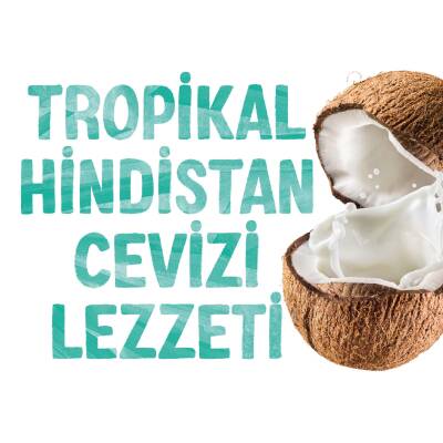 Alpro Hindistan Cevizi Sütü 2X1 Lt Avantajlı Paket - 12