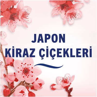 Febreze Oda Japan Cherry BlSpicesom 185Ml - 6