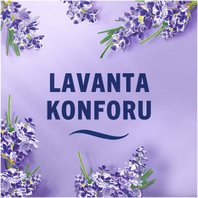 Febreze Oda Kokusu Lavendrcomf 185Ml - 6
