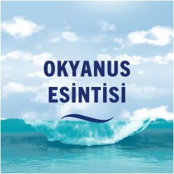 Febreze Oda Kokusu Ocean Mıst 185Ml - 5