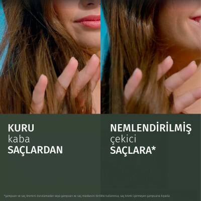 Herbal Essences Sampuan Core Aloe 350Ml - 7