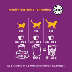 Whiskas Biftekli Konserve Kedi Maması 400 G - 5