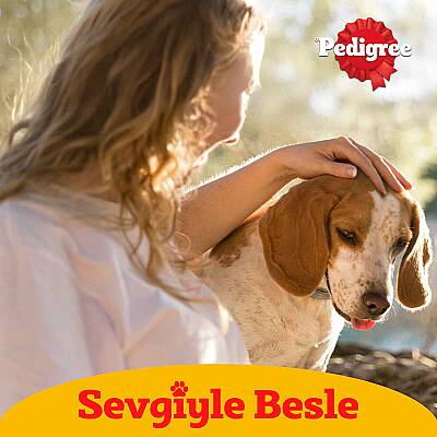 PEDİGREE KÜÇÜK CİNS BİFTEK&SEBZE 2000 GR NEW - 4