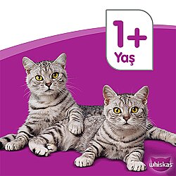 WHİSKAS BİFTEKLİ 400 GR - 4