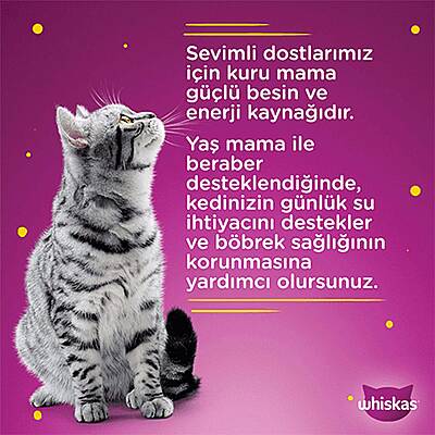 WHİSKAS SIĞIRLI 85 GR - 3